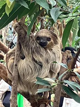 神戸どうぶつ王国に投稿された画像（2023/5/14）