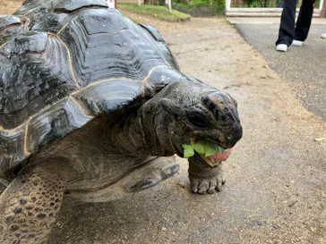 神戸どうぶつ王国に投稿された画像（2023/5/14）