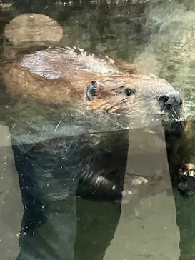 神戸どうぶつ王国に投稿された画像（2023/5/14）