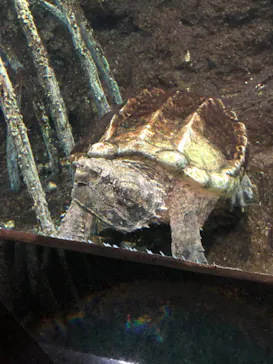 天王寺動物園に投稿された画像（2023/5/14）