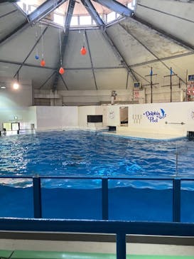 登別マリンパークニクスに投稿された画像（2023/5/14）