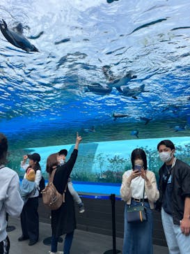 サンシャイン水族館に投稿された画像（2023/5/14）
