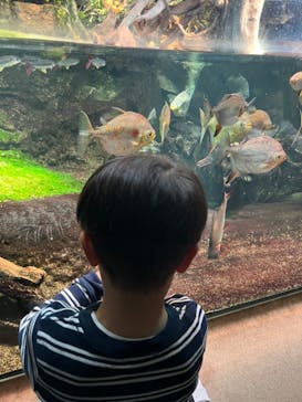 サンシャイン水族館に投稿された画像（2023/5/14）