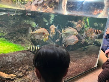 サンシャイン水族館に投稿された画像（2023/5/14）