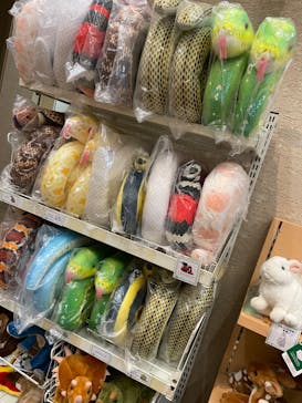 特別展「毒」に投稿された画像（2023/5/14）