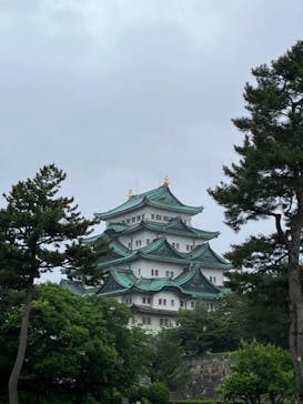 名古屋城に投稿された画像（2023/5/14）