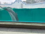 しながわ水族館に投稿された画像（2023/5/14）