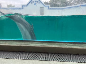 しながわ水族館に投稿された画像（2023/5/14）