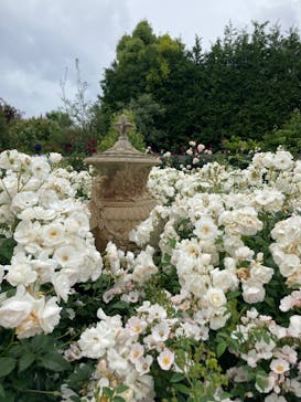 横浜イングリッシュガーデンに投稿された画像（2023/5/14）