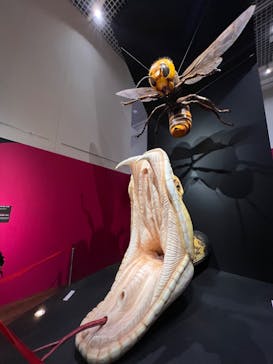 特別展「毒」に投稿された画像（2023/5/14）