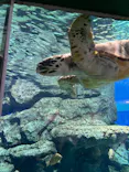 名古屋港水族館に投稿された画像（2023/5/14）