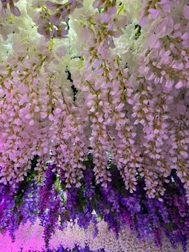 東京サマーランドに投稿された画像（2023/5/14）