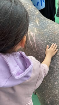 ゼロ距離水族館 伊勢シーパラダイスに投稿された画像（2023/5/14）