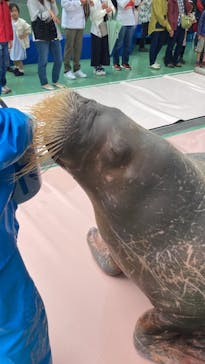 ゼロ距離水族館 伊勢シーパラダイスに投稿された画像（2023/5/14）