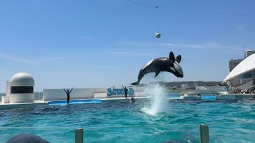 鴨川シーワールドに投稿された画像（2023/5/14）