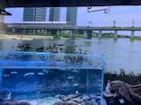 カワスイ 川崎⽔族館に投稿された画像（2023/5/14）