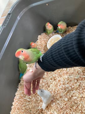 いきもの探検隊上尾に投稿された画像（2023/5/14）