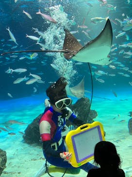 サンシャイン水族館に投稿された画像（2023/5/14）