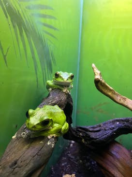 サンシャイン水族館に投稿された画像（2023/5/14）