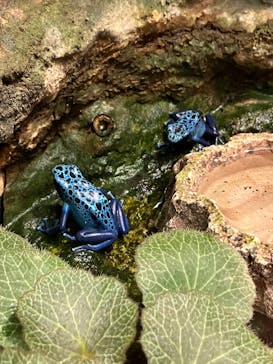 サンシャイン水族館に投稿された画像（2023/5/14）