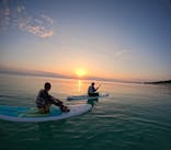 宮古島マリン SUGAR3（シュガースリー）に投稿された画像（2023/5/14）