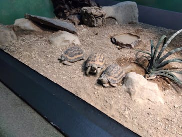 サンシャイン水族館に投稿された画像（2023/5/14）