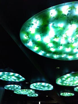 サンシャイン水族館に投稿された画像（2023/5/14）