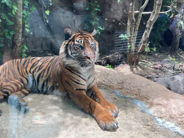 神戸どうぶつ王国に投稿された画像（2023/5/14）