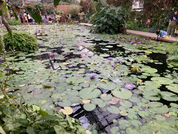 神戸どうぶつ王国に投稿された画像（2023/5/14）