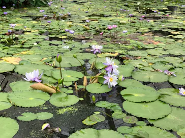 神戸どうぶつ王国に投稿された画像（2023/5/14）