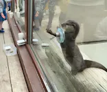 横浜・八景島シーパラダイスに投稿された画像（2023/5/15）