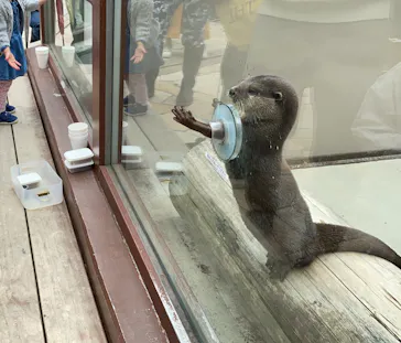 横浜・八景島シーパラダイスに投稿された画像（2023/5/14）