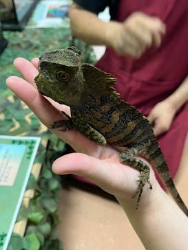 いきもの探検隊上尾に投稿された画像（2023/5/15）