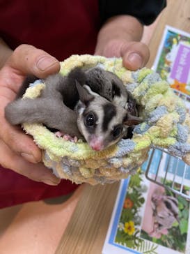 いきもの探検隊上尾に投稿された画像（2023/5/15）