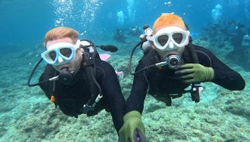 DIVING-SHOP SUNSに投稿された画像（2023/5/15）