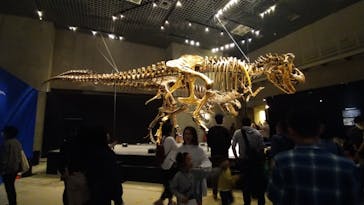 国立科学博物館に投稿された画像（2023/5/15）