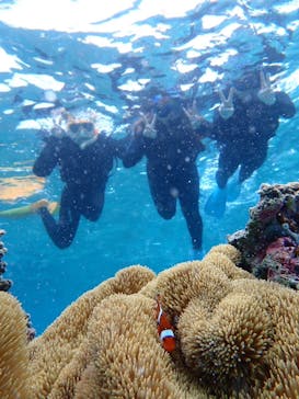 オースリーシュノーケル宮古島に投稿された画像（2023/5/15）