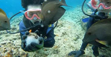 武藤潜水に投稿された画像（2023/5/15）