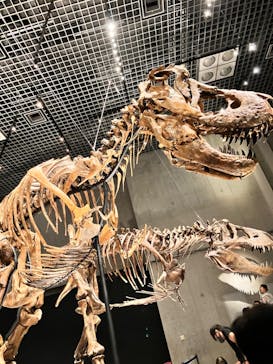 特別展「恐竜博2023」に投稿された画像（2023/5/15）