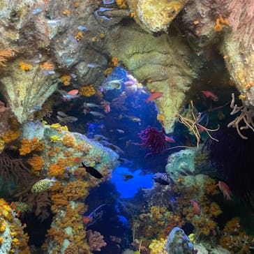 サンシャイン水族館に投稿された画像（2023/5/15）