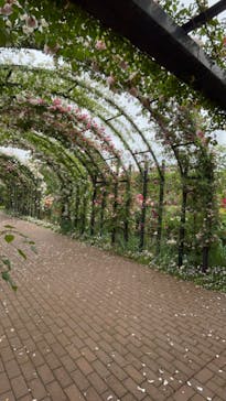 横浜イングリッシュガーデンに投稿された画像（2023/5/15）