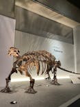 特別展「恐竜博2023」に投稿された画像（2023/5/15）