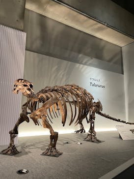 特別展「恐竜博2023」に投稿された画像（2023/5/15）