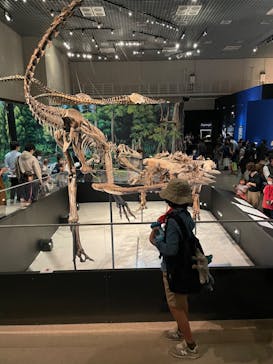 特別展「恐竜博2023」に投稿された画像（2023/5/15）