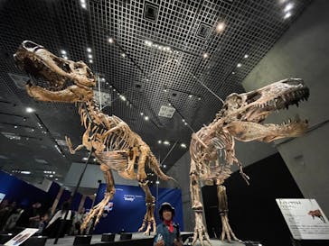 特別展「恐竜博2023」に投稿された画像（2023/5/15）