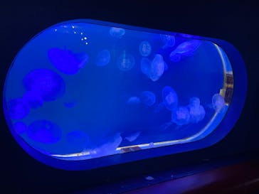 株式会社Gに投稿された画像（2023/5/15）