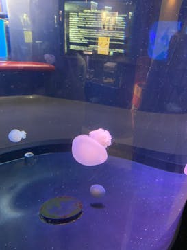 株式会社Gに投稿された画像（2023/5/15）