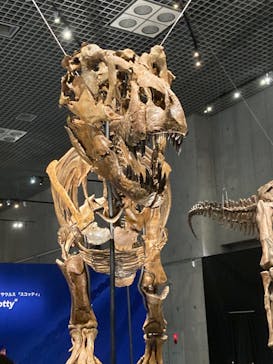 特別展「恐竜博2023」に投稿された画像（2023/5/15）