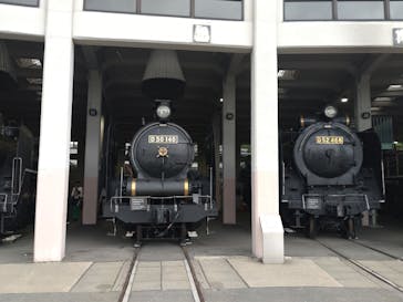 京都鉄道博物館×京都水族館に投稿された画像（2023/5/15）