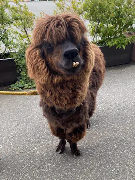 神戸どうぶつ王国に投稿された画像（2023/5/15）